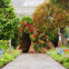A garden path leading to a hollow tree trunk adorned with colorful flowers, surrounded by lush greenery and blooming plants.