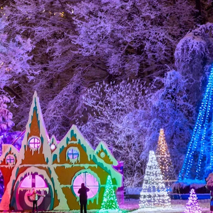 Winter Festival of Lights - Millions of Light Displays, Approx. Nov 16 to Jan 5