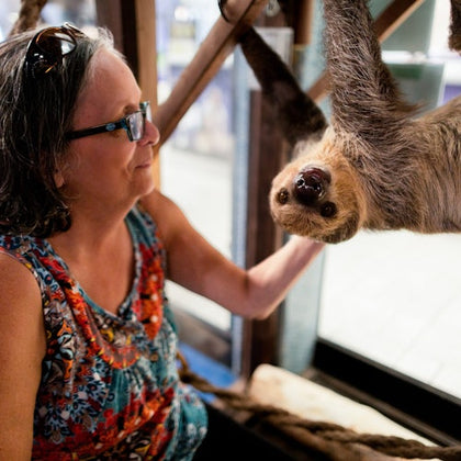 SeaQuest Fort Worth: Entry Ticket