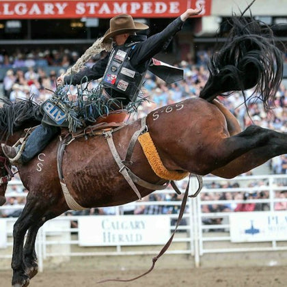 A rodeo rider wearing equipment and a cowboy hat rides a bucking horse at a rodeo event in front of a crowd.