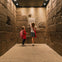 Royal Ontario Museum: General Admission Ticket