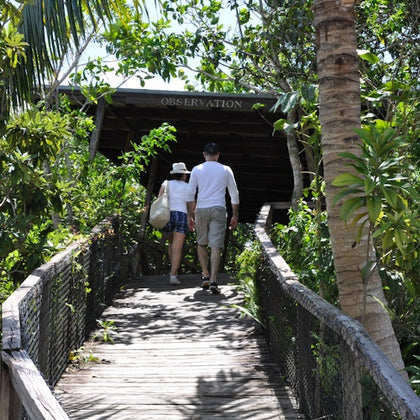 Observation Platform 