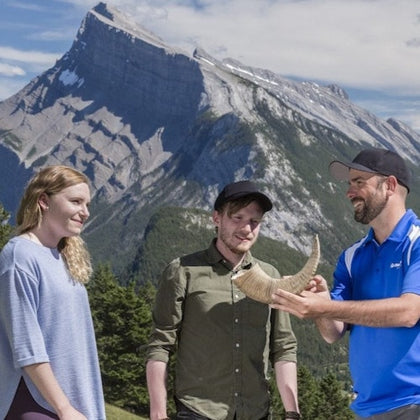 Discover Banff Tours