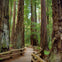 Full Day Wine & Woods Tour
