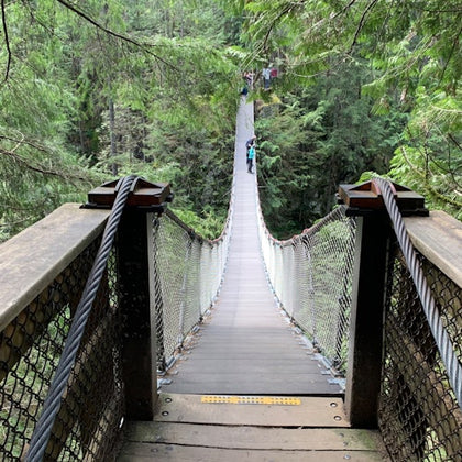 Suspension bridge high above canyon