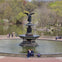 Stunning photo of the Bethesda Fountain on a spring day.