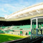 Wimbledon Tennis