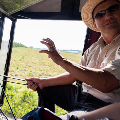 Amish Man in Buggy