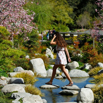 Japanese Friendship Gardens in San Diego