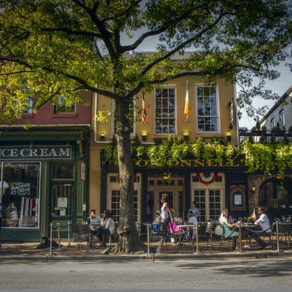 Mount Vernon & Old Town Alexandria: Half-Day Tour