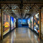 A hallway with large, brightly lit cityscape photographs on both sides and an overhead metal lattice ceiling structure.
