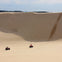 Two people riding ATVs on expansive sand dunes under a clear sky, with tire tracks visible on the slope.