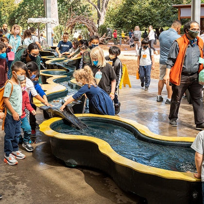 Make your own boat at Riveropolis.