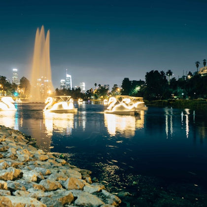 Los Angeles Echo Park: Swan Boats Rental