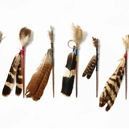 A row of decorative feather arrangements tied to small sticks against a white background.