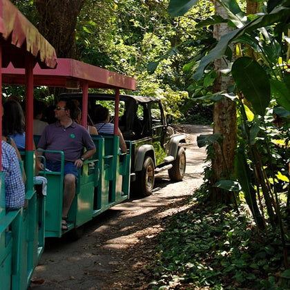 Flamingo Gardens: Skip The Line Ticket