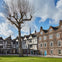 A courtyard with a large leafless tree, surrounded by historic buildings, with the Shard visible in the background.