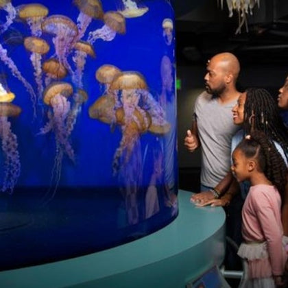 Aquarium of the Pacific