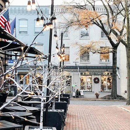 Mount Vernon & Old Town Alexandria: Half-Day Tour