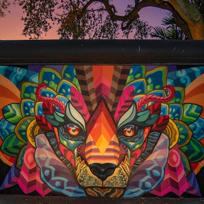 Wynwood Walls: General Admission + Neighborhood Buggy Experience