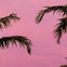 Scenic Miami Night Tour with Skyviews Observation Wheel