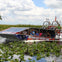 Miami Combo: Bus Tour, Bay Cruise, & Everglades