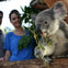 Taronga Zoo