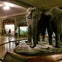 New York CityPASS®: Choose 5 Top New York City Attractions