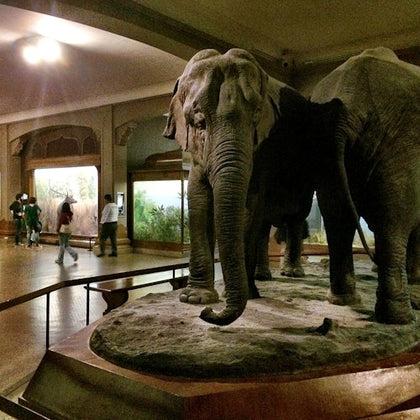 New York CityPASS®: Choose 5 Top New York City Attractions