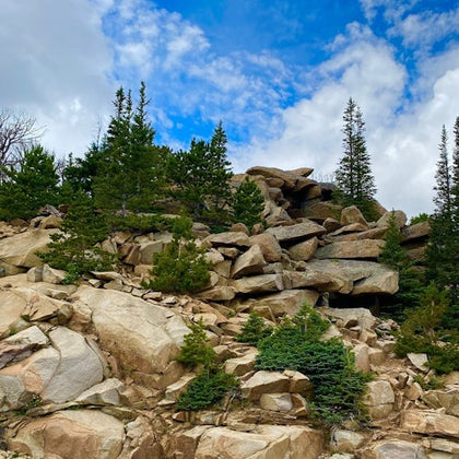Rocky hillside with scattered evergreen trees under a partly cloudy blue sky.