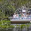 Everglades: Airboat Ride, Wildlife Show & Roundtrip Transport from Miami