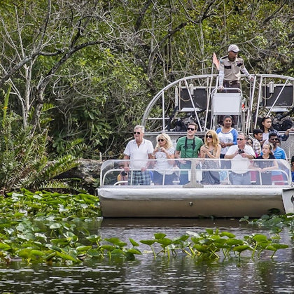 Everglades: Airboat Ride, Wildlife Show & Roundtrip Transport from Miami