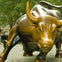 Charging Bull