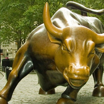 Charging Bull