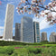 Millennium Park