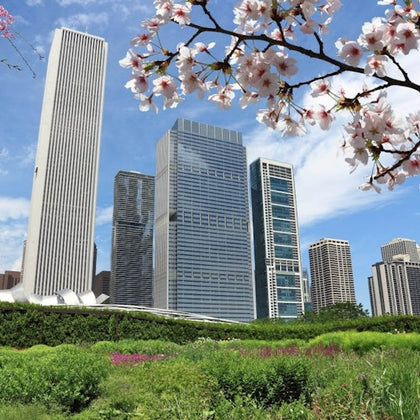 Millennium Park