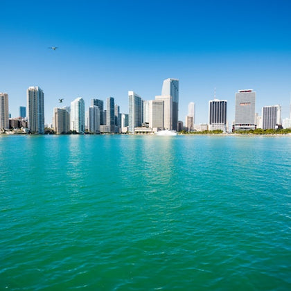 All in one- Miami Full Day Tour