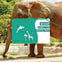 An elephant by a waterhole with a "Miami Family Fun Digital Pass" card overlay showing a dolphin and giraffes.
