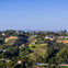 Hollywood
