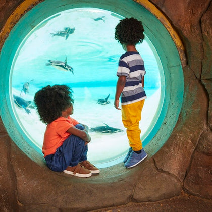 Two children watching the penguins through a bubble window