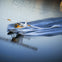 San Francisco: Greater Bay Area by Seaplane