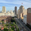 Cityscape showing a park, buildings, and a street with cars under a blue sky.