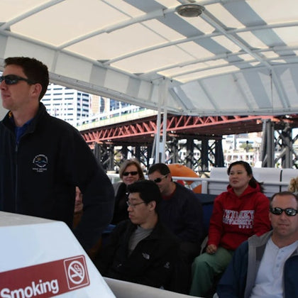 2.5hr Adventure Whale Watching Cruise