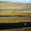 Sawgrass Recreation Park