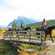 Sundance Loop Trail Ride from Banff