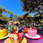 Disneyland® Park