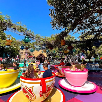 Disneyland® Park