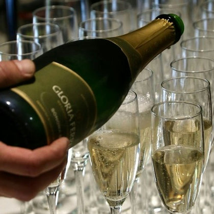 Full Day Wine Tour from San Francisco