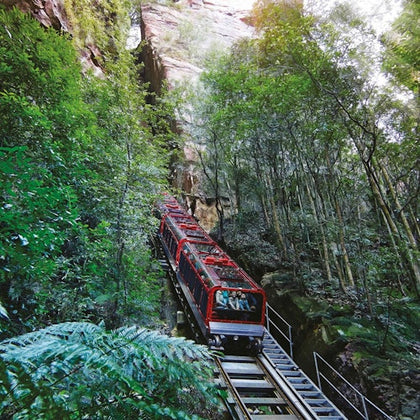 A red passenger train ascending a steep incline through a forested area surrounded by trees and rocky cliffs.