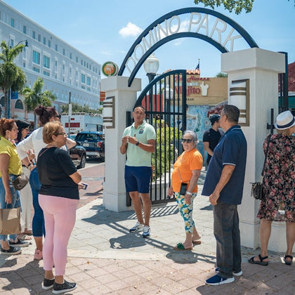 Little Havana, Dominos Park